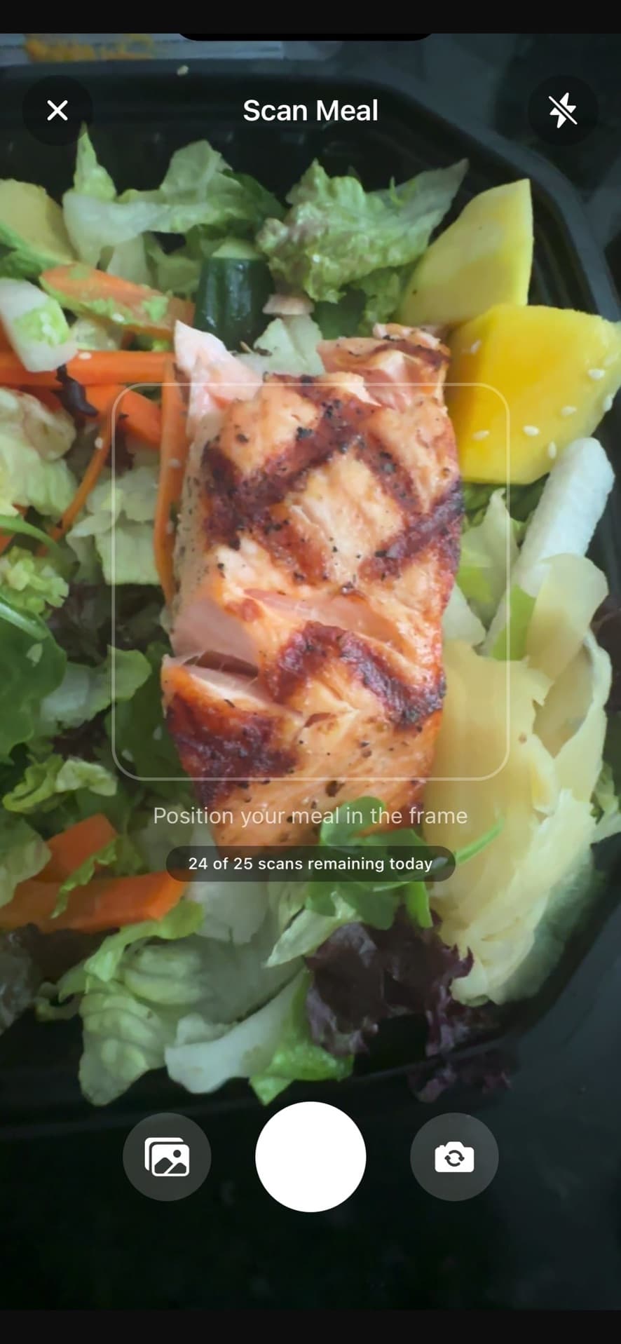Protein Pic scan screen with a salmon salad in the camera frame and the prompt to position your meal