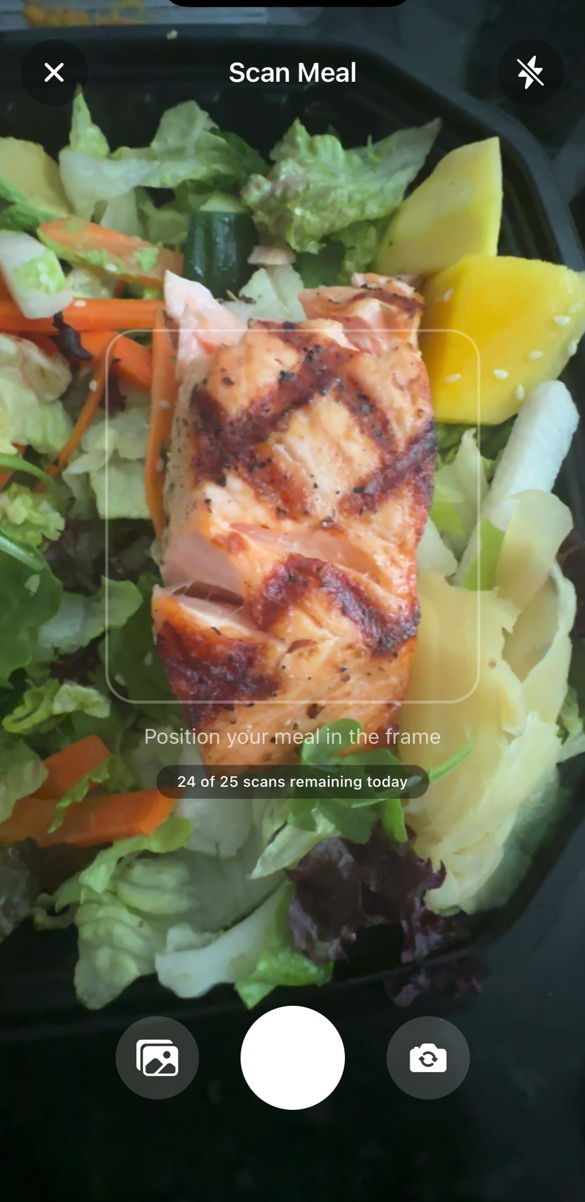 ProteinPic scanning a salmon salad meal